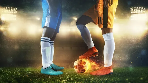 用户在手机上使用纬来体育APP